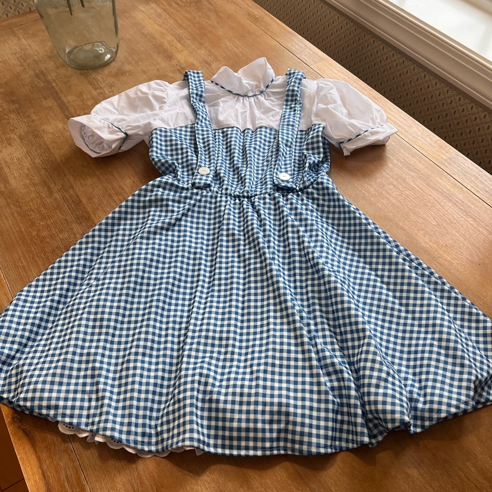 Teen or woman’s Dorothy costume size smallish